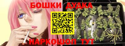 прущие грибы Баксан