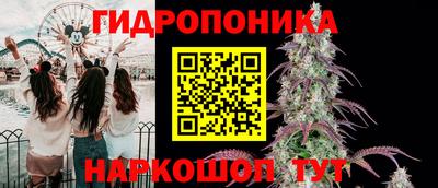 прущие грибы Баксан