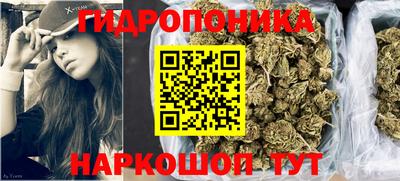 прущие грибы Аша